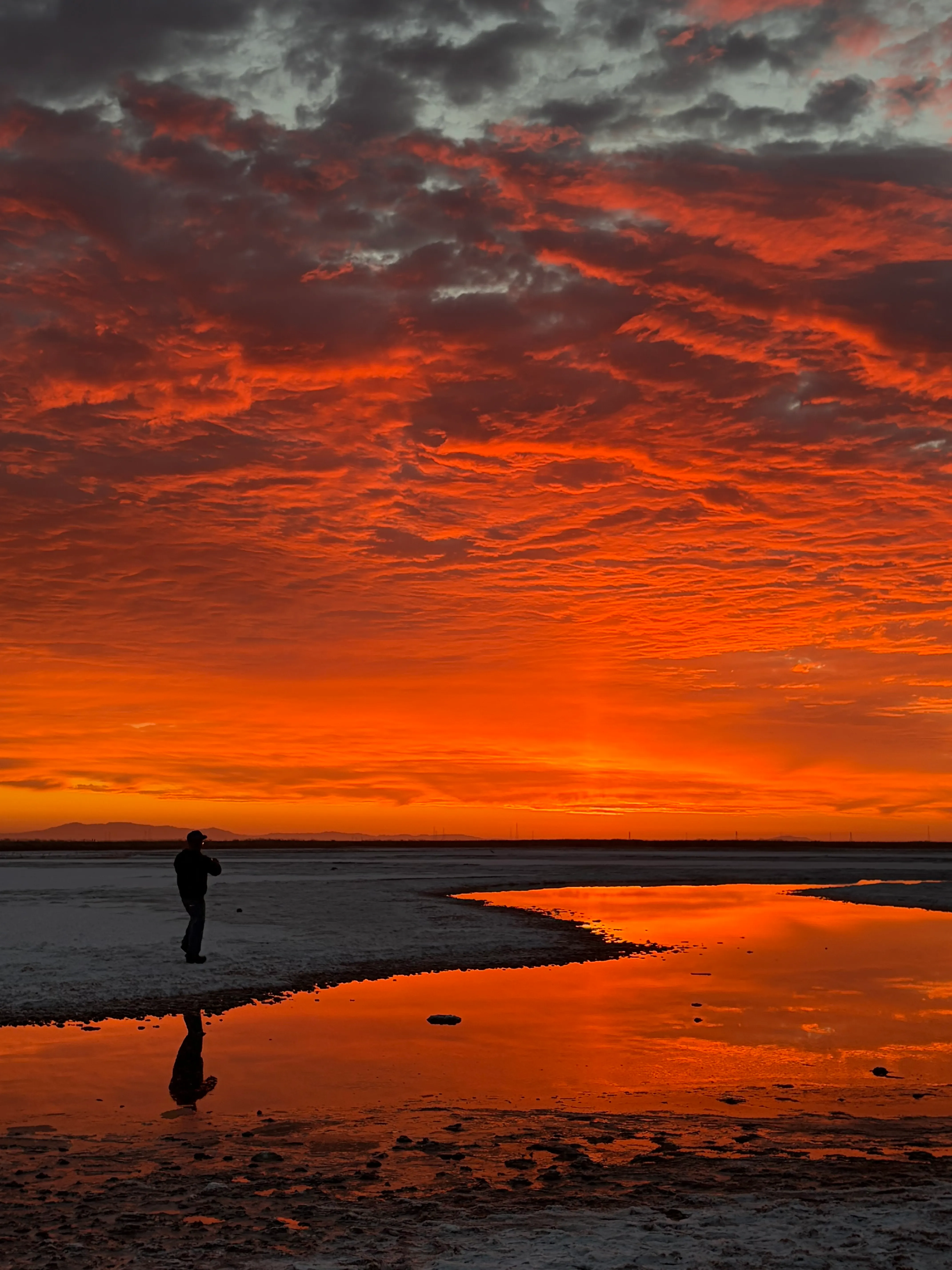Alviso Marina County Park